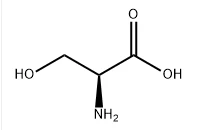 L-Serina N. CAS:56-45-1